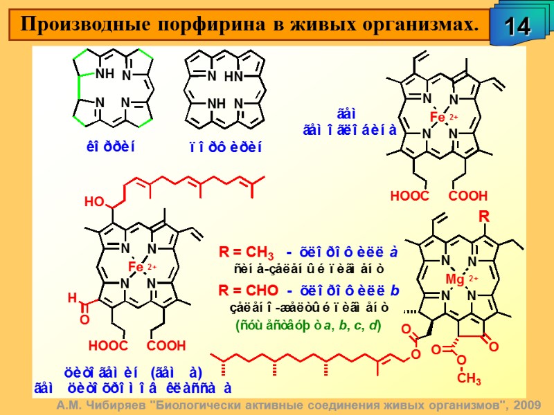 А.М. Чибиряев 